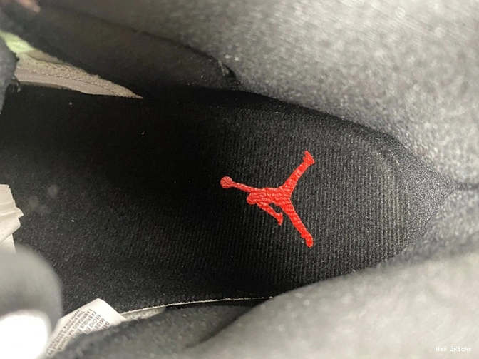 CT8012-106 687 Jordan Trendy Air 11 0717